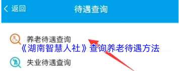 湖南智慧人社怎么测算养老金