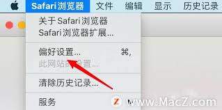 Safari新标签页如何设置快速访问网站