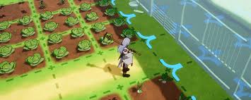 符文工房龙之天地怎么玩