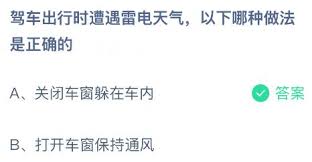 驾车出行遇雷电天气哪种做法正确