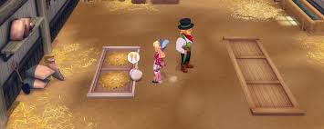 牧场物语风之繁华集市夏季怎么玩