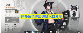 环外角色等级如何进阶