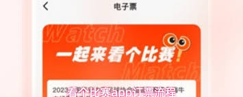 看个比赛app如何退票