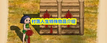 村落人生中有哪些特殊物品
