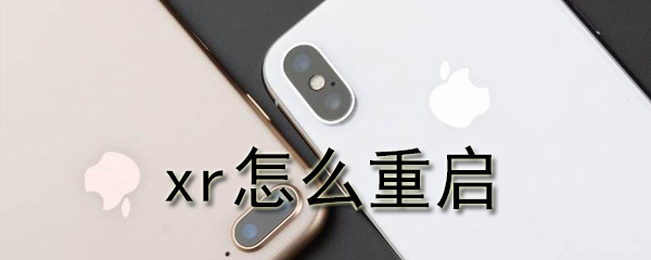 苹果xr怎么重启_xr重启步骤流程全览