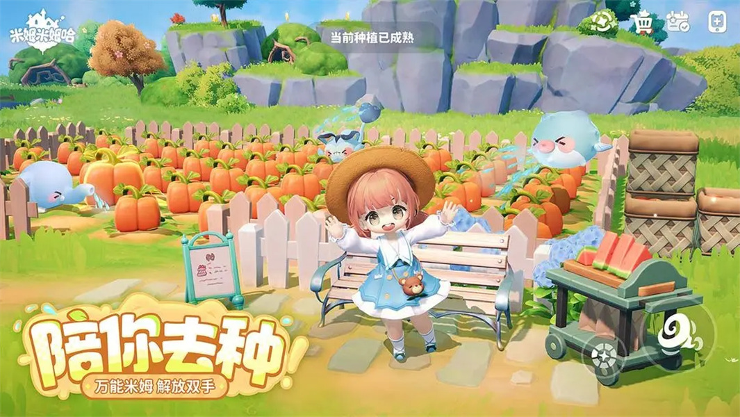 米姆米姆哈中文版