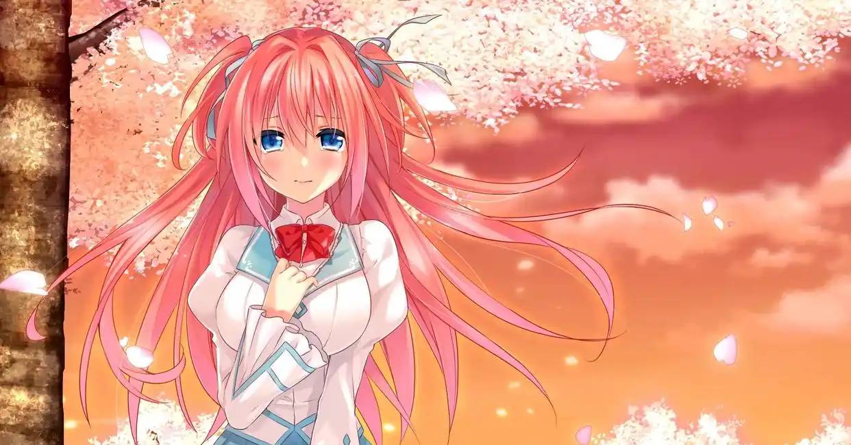 春天的谎言完整版