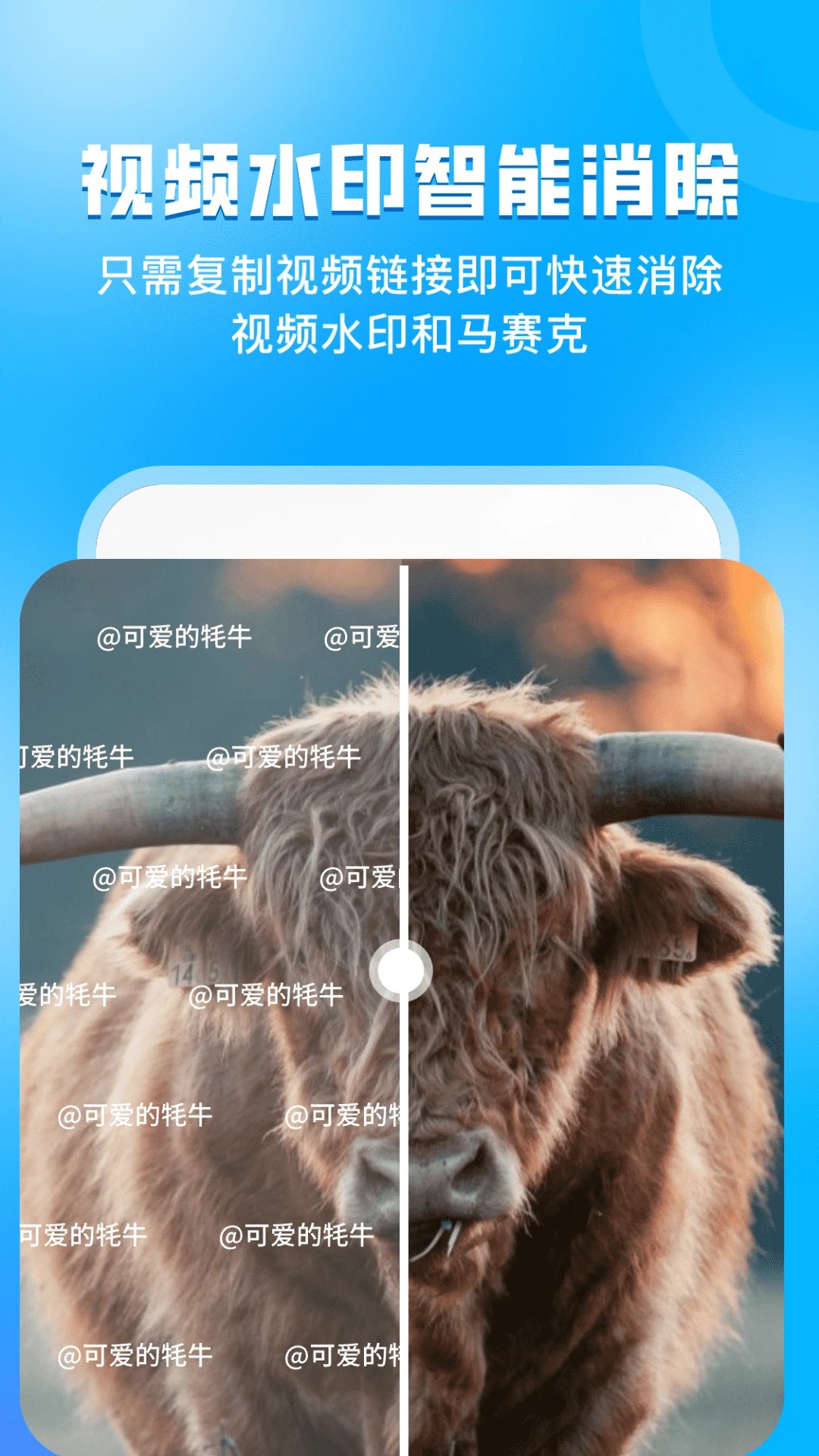 指尖虚拟摄像头会员免登录