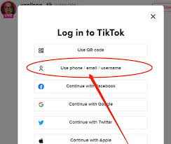 如何直接登录TikTok网页版