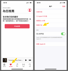 如何在Apple Music下载音乐