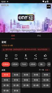 坚果视频app如何设置中文字幕