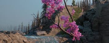 孤岛惊魂新曙光队长的勇气成就如何完成