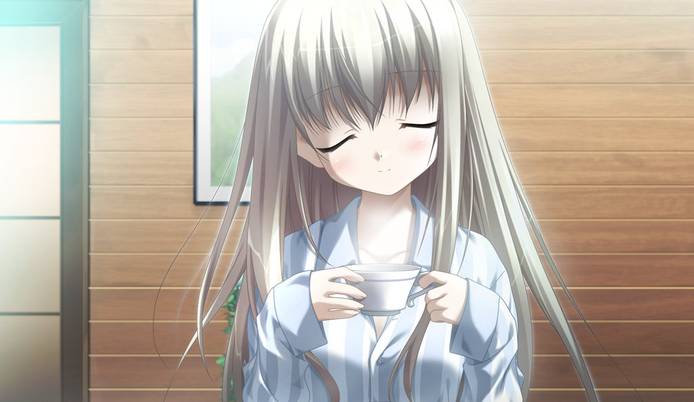 伊甸园galgame去更新版