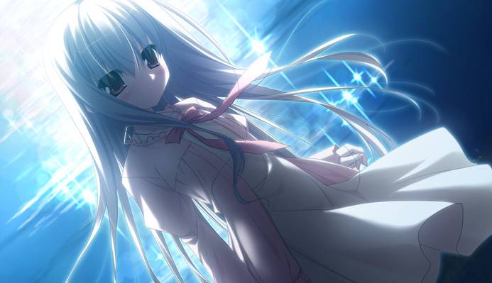 伊甸园galgame官方版