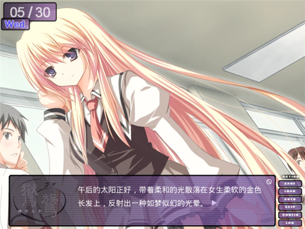 鸑鷟：镜花水月汉化版