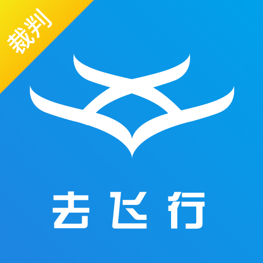 去飞行成统系统