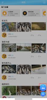 天天渔发如何发布活动