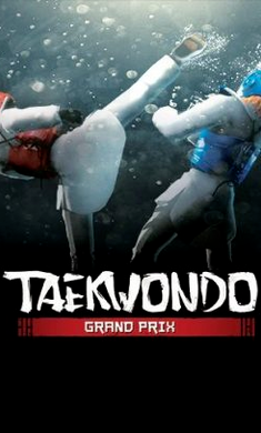 跆拳道大奖赛中文版