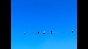 剪映如何制作慢动作效果