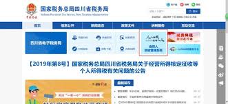 个人所得税网页版唯一入口在哪