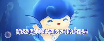 海水涨潮几乎淹没不到的地带是什么