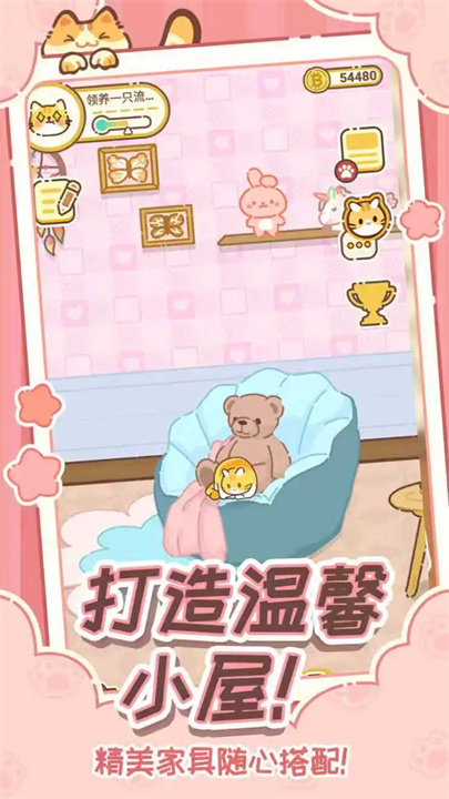 领养一只流浪猫中文版