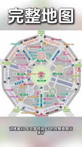 宝可梦传说ZA第4赛季环境怎么分析