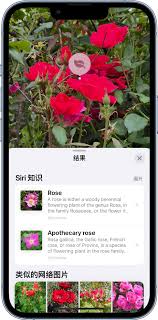 iPhone17pro怎么看图查询识别图片内信息