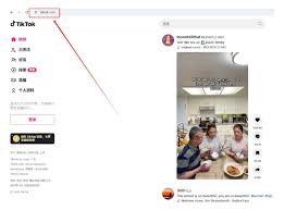 TikTok网页版首页入口在哪
