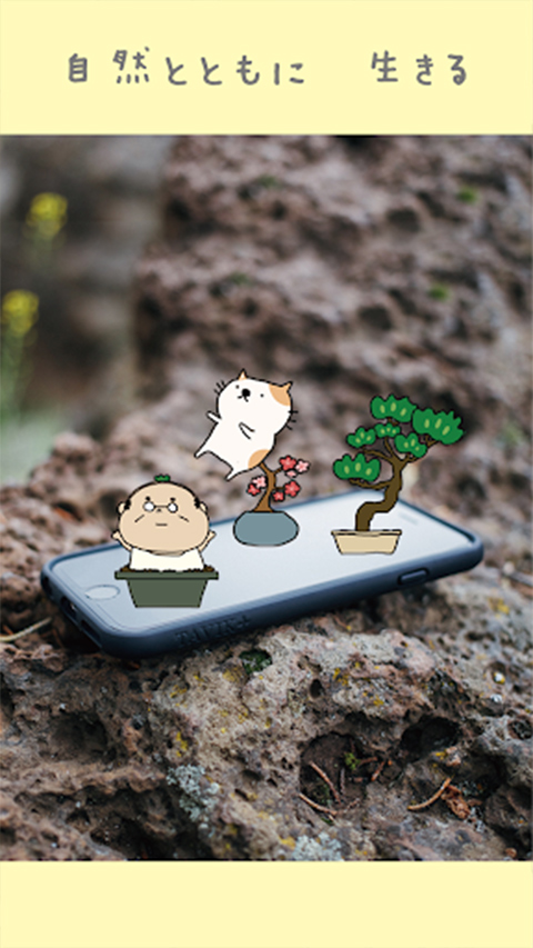 盆栽大师汉化版