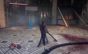 忍者龙剑传4极黑之翼收集有什么