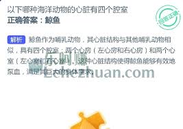 哪种海洋动物有四颗心脏