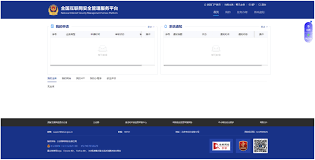 全国互联网安全管理服务平台入口在哪