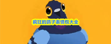 疯狂的鸽子表情包大全有哪些