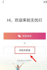 无忧行国外流量怎么用