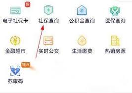 我的扬州app如何查社保
