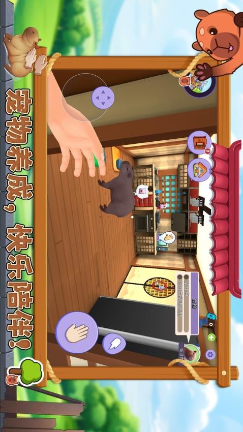 宠物消不停高画质版