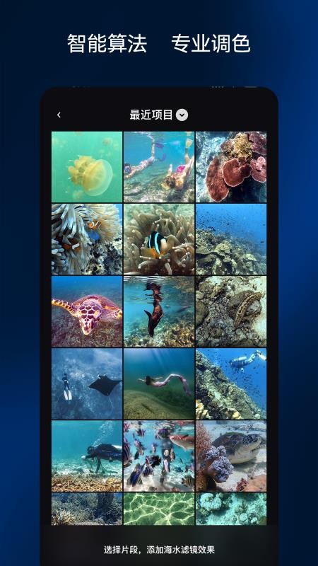 彩焦相机老版本