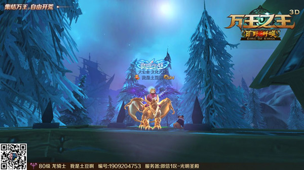 万王之王3D龙骑士职业属性怎么样？龙骑士职业属性及用法点评