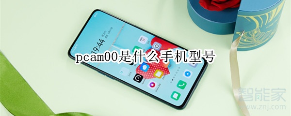 pcam00是什么手机型号_是哪款手机型号