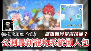 仙境传说重生如何获得宠物