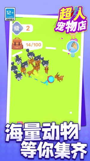 超人宠物店完整版