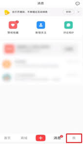 小红书订单在哪里查看