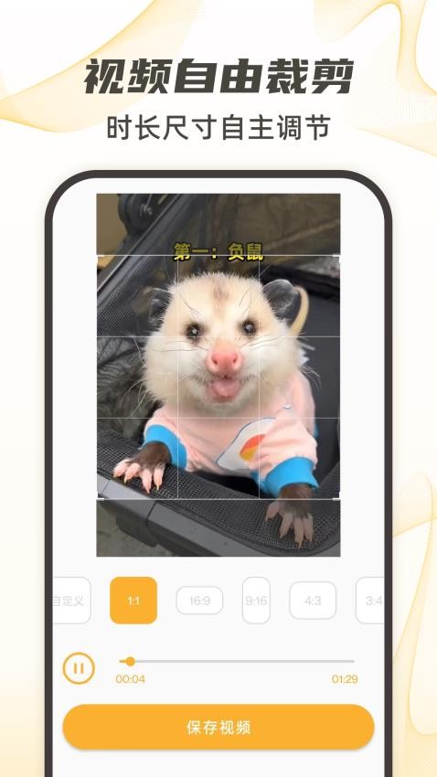 视频下载去水印纯净版