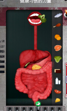 人体是如何运作的完整版