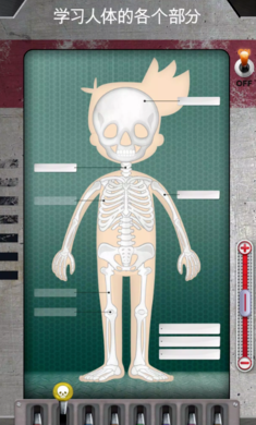 人体是如何运作的先行服