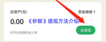 秒聊如何进行提现