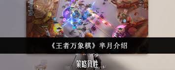 王者万象棋芈月厉害吗