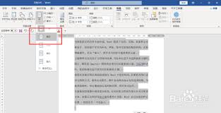 如何在Word中设置双栏排版