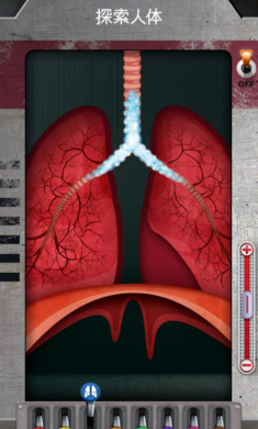 人体是如何运作的免广告版